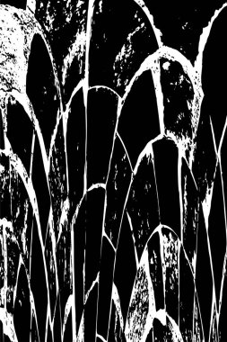 Soyut arkaplan. monokrom dokusu. resim siyah ve beyaz tonları içerir. 