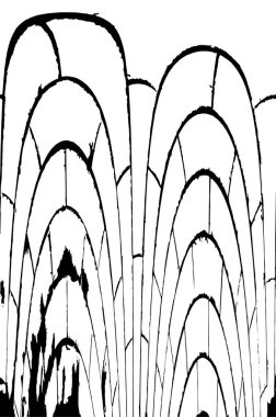 siyah ve beyaz soyut desenli arkaplan