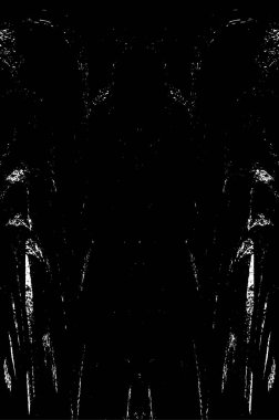 Grunge dikey olarak simetrik siyah beyaz doku. Tek renkli yıpranmış kaplama deseni. 