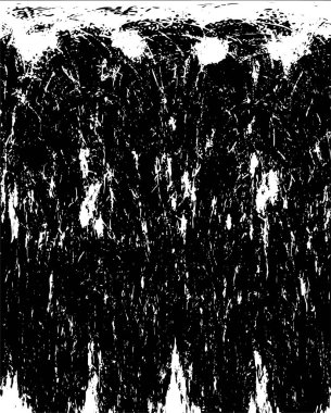 siyah ve beyaz grunge arkaplanı 