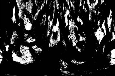 siyah ve beyaz grunge arkaplanı