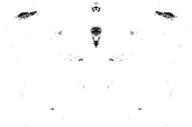 siyah ve beyaz desenli arka plan, soyut illüstrasyon 