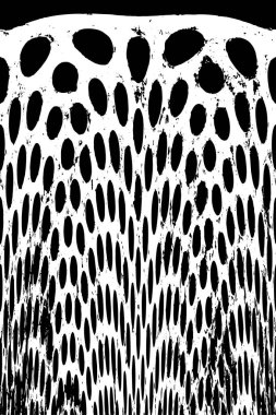 Çizik ve çiziklerle dolu siyah beyaz bir arka plan. Soyut vektör illüstrasyonu. 