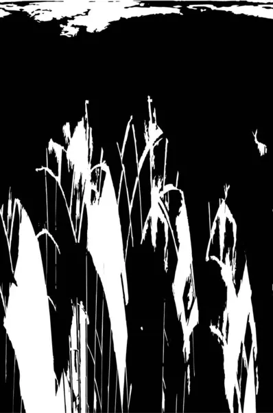 Vieux Grunge Vintage Texture Altérée Fond Couleurs Noir Blanc — Image vectorielle