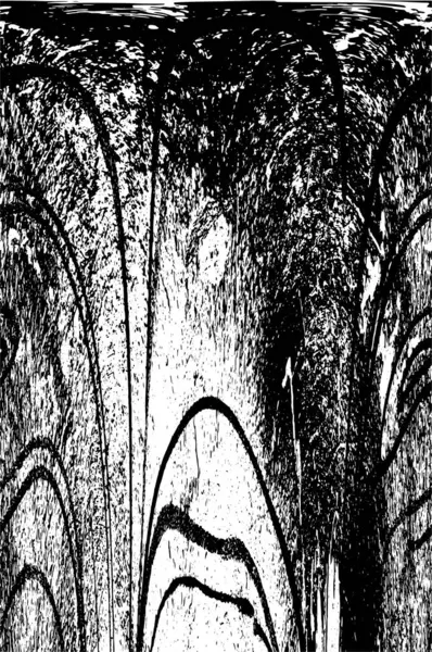 黒と白の装飾的な抽象的なテクスチャの背景 — ストックベクタ