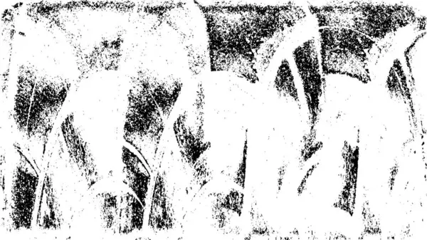 yüksek kaliteli monokrom arkaplan grunge dokusu