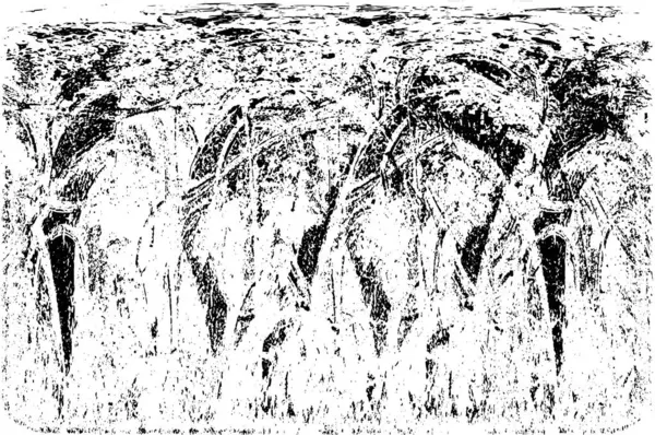 siyah ve beyaz grunge arkaplanı