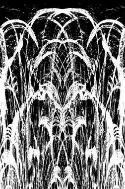 Grunge dikey olarak simetrik siyah beyaz doku. Tek renkli yıpranmış kaplama deseni. 