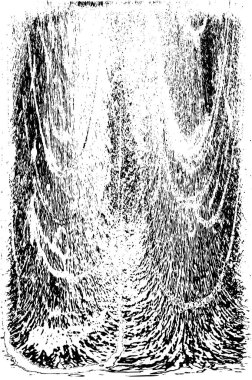 soyut siyah beyaz arkaplan, tek renkli doku 