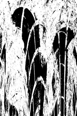 soyut siyah beyaz arkaplan, tek renkli doku 