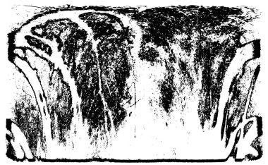 Soyut grunge arkaplanı. Monokrom dokusu. Siyah ve beyaz desenli arkaplan 