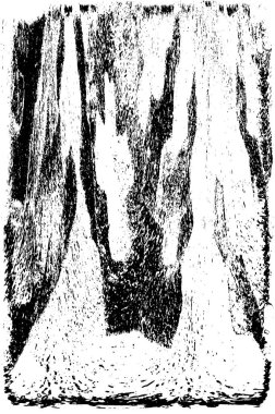 soyut grunge modern, siyah ve beyaz desen