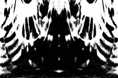 Grunge dikey olarak simetrik siyah beyaz doku. Tek renkli yıpranmış kaplama deseni. 