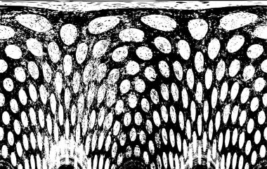 soyut grunge modern, siyah ve beyaz desen