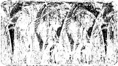 Siyah beyaz monokrom eski grunge vintage eskimiş arka plan soyut antika desenli retro model 