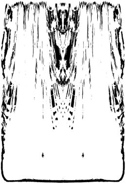 siyah beyaz monokrom eski grunge vintage yıpranmış arka plan