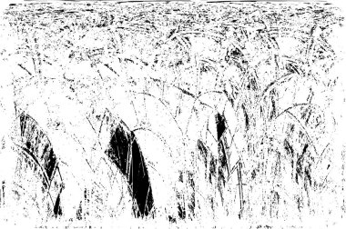 Soyut siyah beyaz arka plan. monokrom dokusu. 