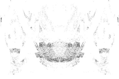 Grunge dikey olarak simetrik siyah beyaz doku. Tek renkli yıpranmış kaplama deseni. 