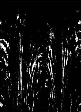 Grunge 'un arka planı. siyah ve beyaz doku 