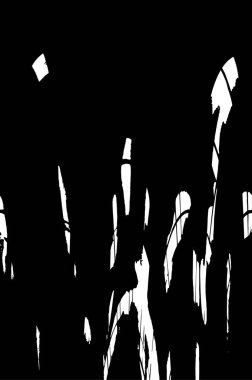 Grunge 'un arka planı. siyah ve beyaz doku 