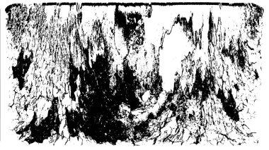 Grunge 'un arka planı. siyah ve beyaz doku 