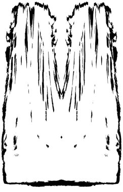 siyah beyaz monokrom eski grunge vintage yıpranmış arka plan 