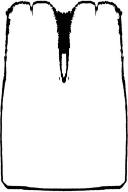 siyah beyaz monokrom eski grunge vintage yıpranmış arka plan 