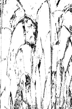 siyah beyaz monokrom eski grunge vintage yıpranmış arka plan 