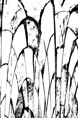 Eski Renkli Grunge Eskimiş Arkaplan  