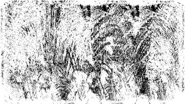 Eski Renkli Grunge Eskimiş Arkaplan  