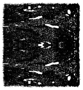 Grunge Siyah ve Beyaz Şehir Vektör Doku Şablonu. Çatlakların, lekelerin, çiplerin, çizgilerin koyu arkaplanı.