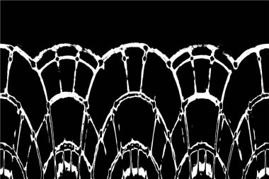 Grunge üst üste biniyor. Soyut siyah-beyaz vektör arkaplanı. Çatlak, leke ve noktalarda kirli desenli tek renkli klasik yüzey. Karanlık korku tarzında eski bir duvar.