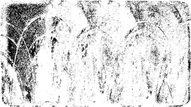 Grunge üst üste biniyor. Soyut siyah-beyaz vektör arkaplanı. Çatlak, leke ve noktalarda kirli desenli tek renkli klasik yüzey. Karanlık korku tarzında eski bir duvar.