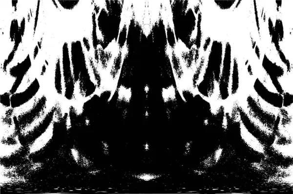 Grunge dikey olarak simetrik siyah beyaz doku. Tek renkli yıpranmış kaplama deseni. 