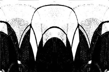 Grunge dikey olarak simetrik siyah beyaz doku. Tek renkli yıpranmış kaplama deseni. 