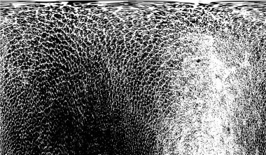 Grunge üst üste biniyor. Soyut siyah-beyaz vektör arkaplanı. Çatlak, leke ve noktalarda kirli desenli tek renkli klasik yüzey. Karanlık korku tarzında eski bir duvar.