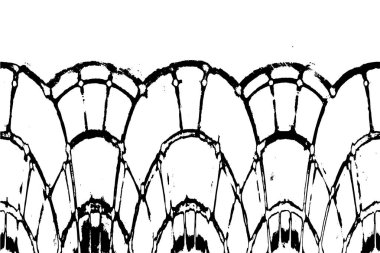 Grunge üst üste biniyor. Soyut siyah-beyaz vektör arkaplanı. Çatlak, leke ve noktalarda kirli desenli tek renkli klasik yüzey. Karanlık korku tarzında eski bir duvar.