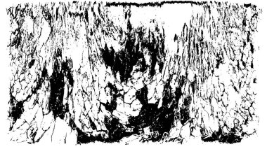 Grunge üst üste biniyor. Soyut siyah-beyaz vektör arkaplanı. Çatlak, leke ve noktalarda kirli desenli tek renkli klasik yüzey. Karanlık korku tarzında eski bir duvar.