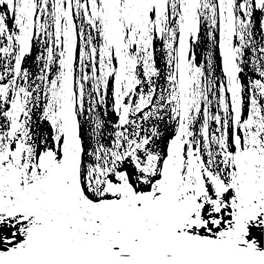 siyah ve beyaz vektör çizimi. soyut el çizimi dokusu