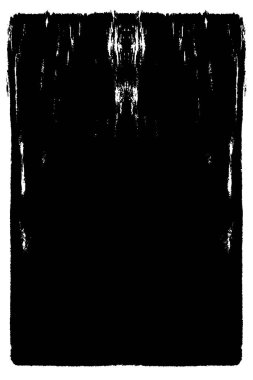 siyah ve beyaz vektör çizimi. soyut el çizimi dokusu