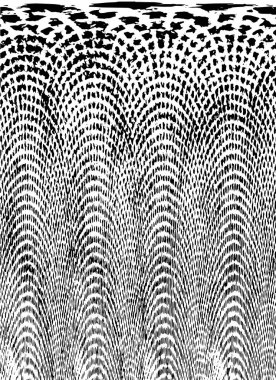 siyah ve beyaz vektör çizimi. soyut el çizimi dokusu