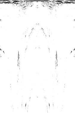 Grunge dikey olarak simetrik siyah beyaz doku. Tek renkli yıpranmış kaplama deseni. 