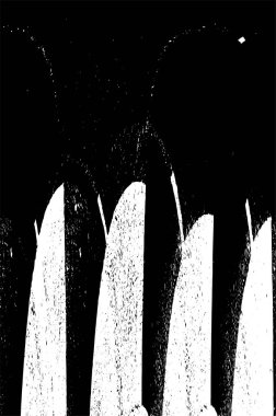 Siyah beyaz monokrom eski grunge vintage eskimiş arka plan soyut antika desenli retro model