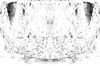 Grunge dikey olarak simetrik siyah beyaz doku. Tek renkli yıpranmış kaplama deseni. 