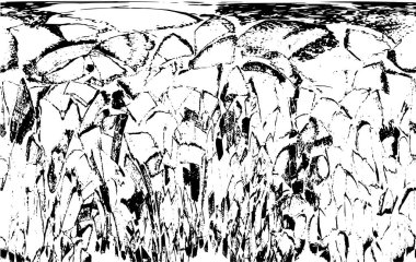 Soyut siyah beyaz arka plan. monokrom dokusu.