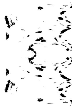 Soyut monokrom dokusu. resim siyah ve beyaz tonları içerir.