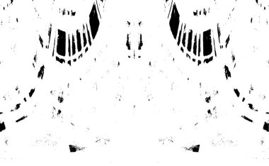Grunge dikey olarak simetrik siyah beyaz doku. Tek renkli yıpranmış kaplama deseni. 