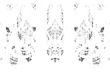 Grunge dikey olarak simetrik siyah beyaz doku. Tek renkli yıpranmış kaplama deseni. 