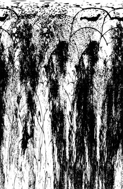 siyah ve beyaz tek renkli eski grunge arkaplan 