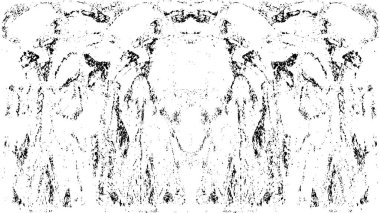 siyah ve beyaz grunge soyut arkaplan